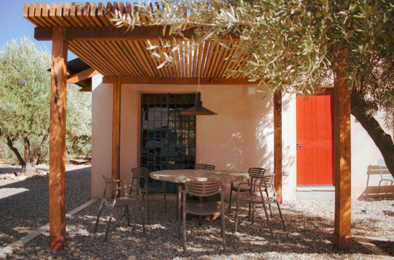 Alma Liebre Vinedos Del Valle Valle de Guadalupe Dış mekan fotoğraf