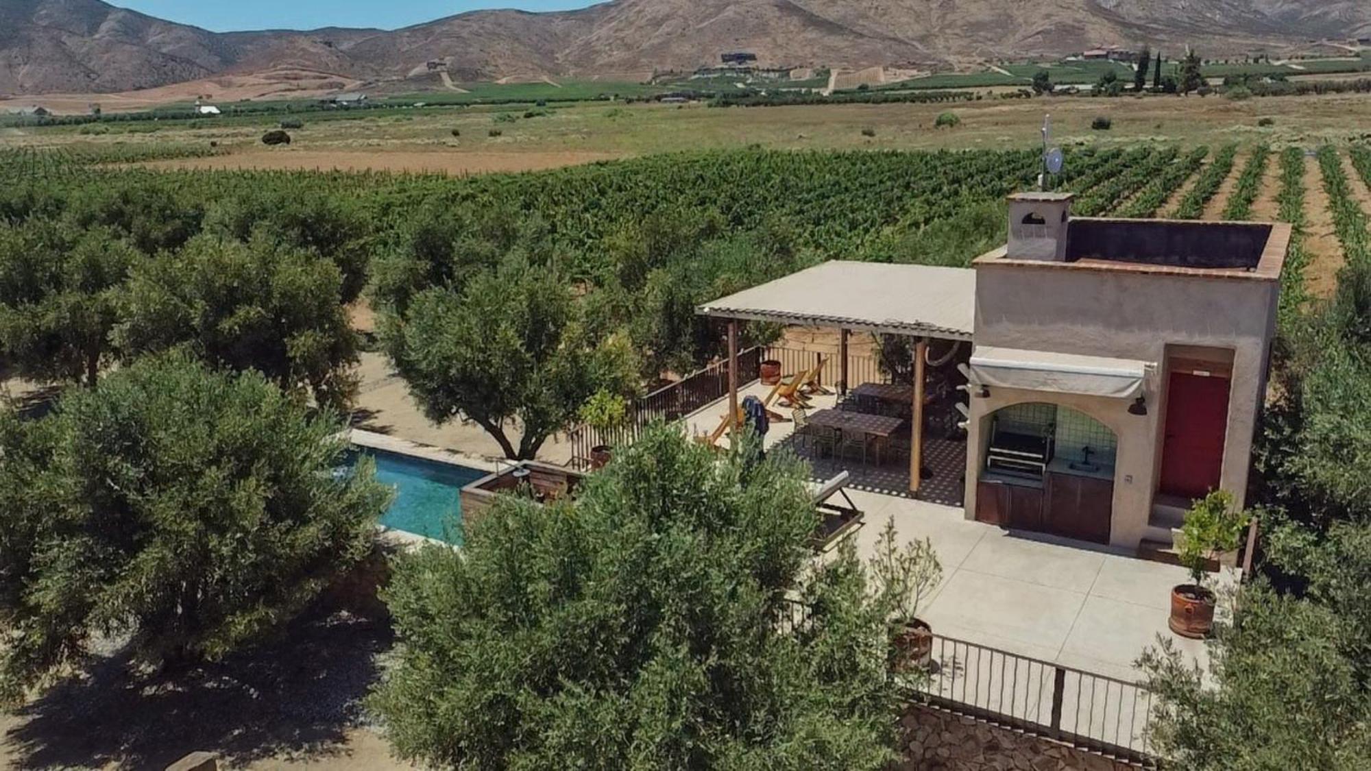 Alma Liebre Vinedos Del Valle Valle de Guadalupe Dış mekan fotoğraf