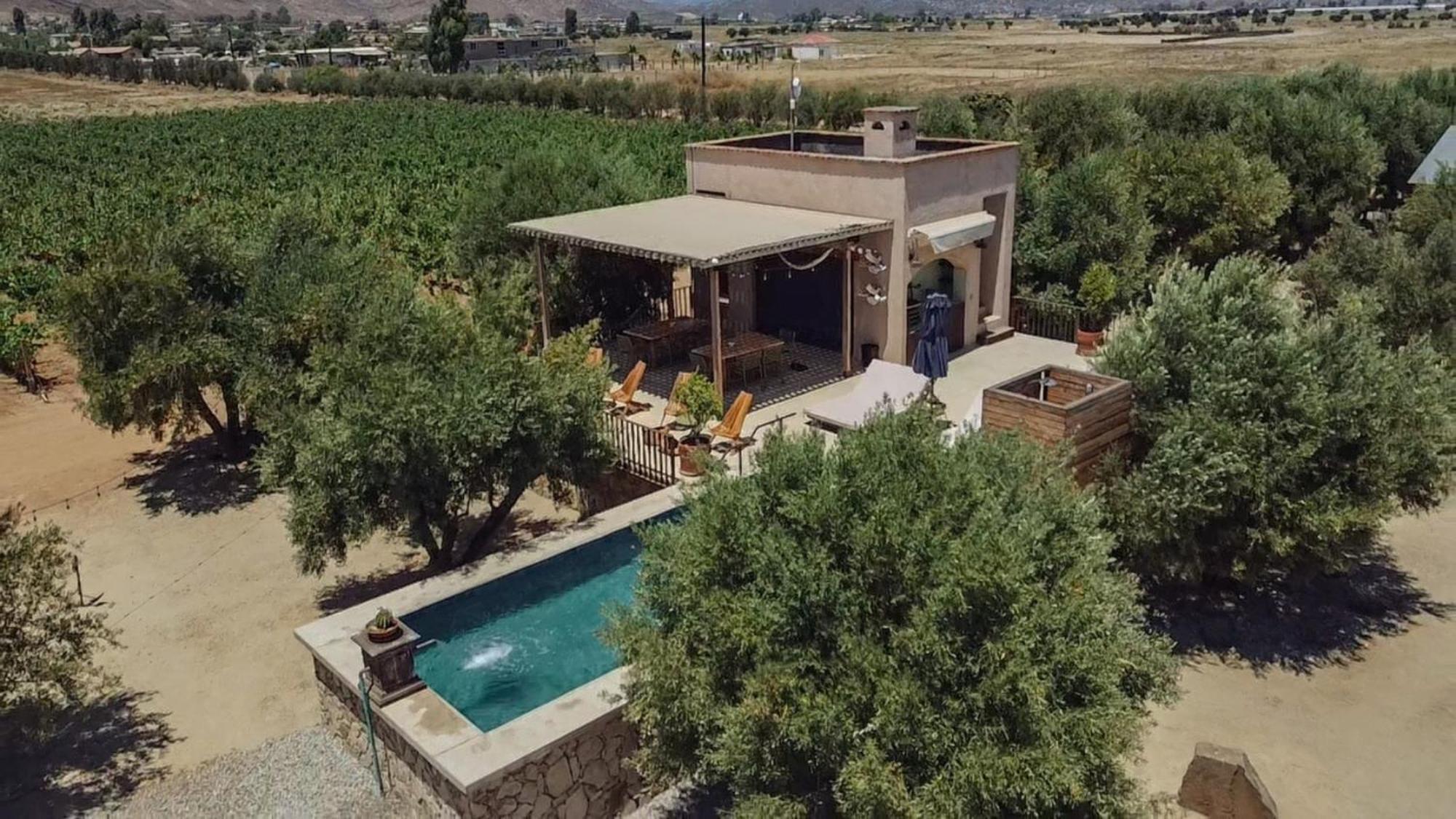 Alma Liebre Vinedos Del Valle Valle de Guadalupe Dış mekan fotoğraf