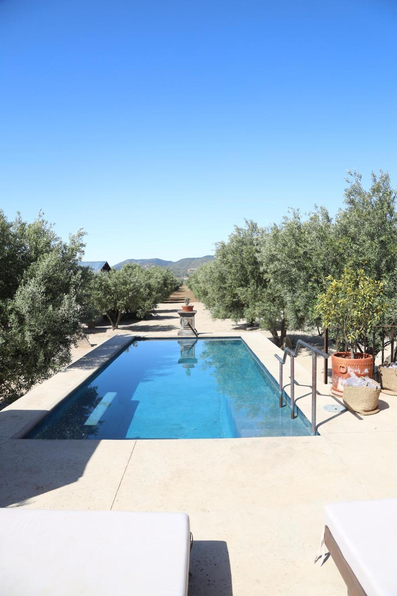 Alma Liebre Vinedos Del Valle Valle de Guadalupe Dış mekan fotoğraf