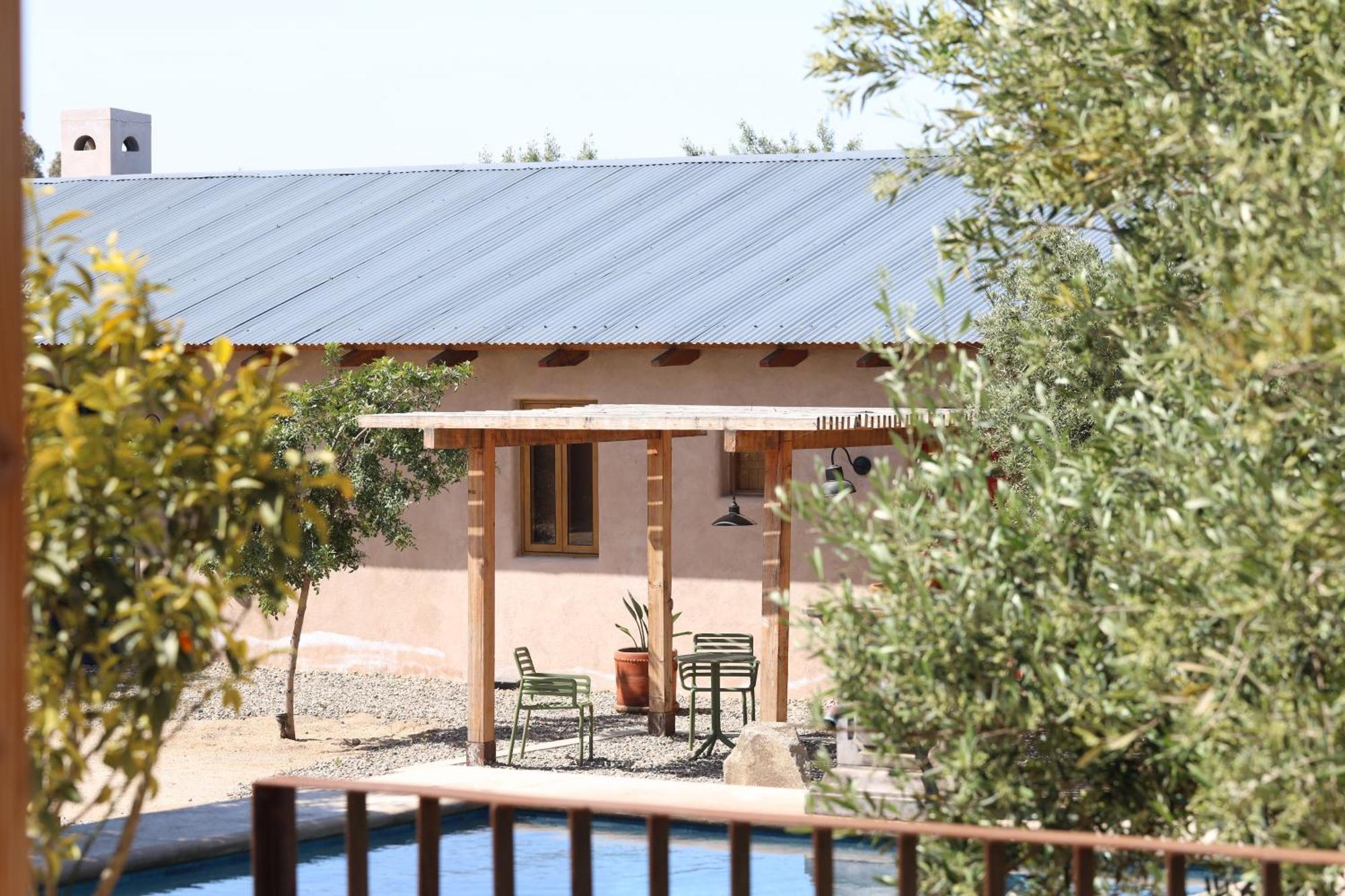 Alma Liebre Vinedos Del Valle Valle de Guadalupe Dış mekan fotoğraf